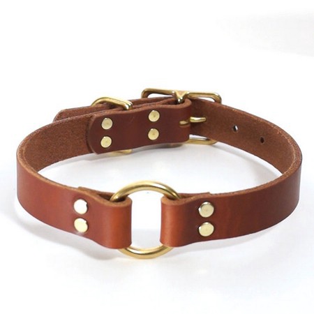 FieldKing, BTL Bridle Leather Dog Collar, Double Ring, 1" W