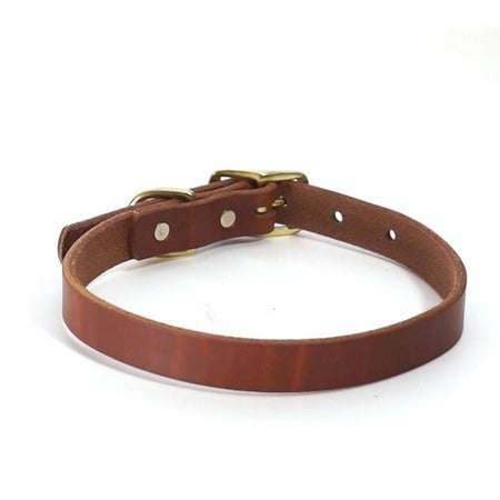 FieldKing, BTL Bridle Leather Dog Collar, Standard, 3/4" Wide