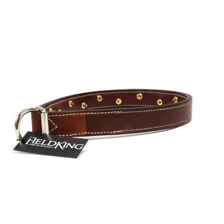 leather training collar
