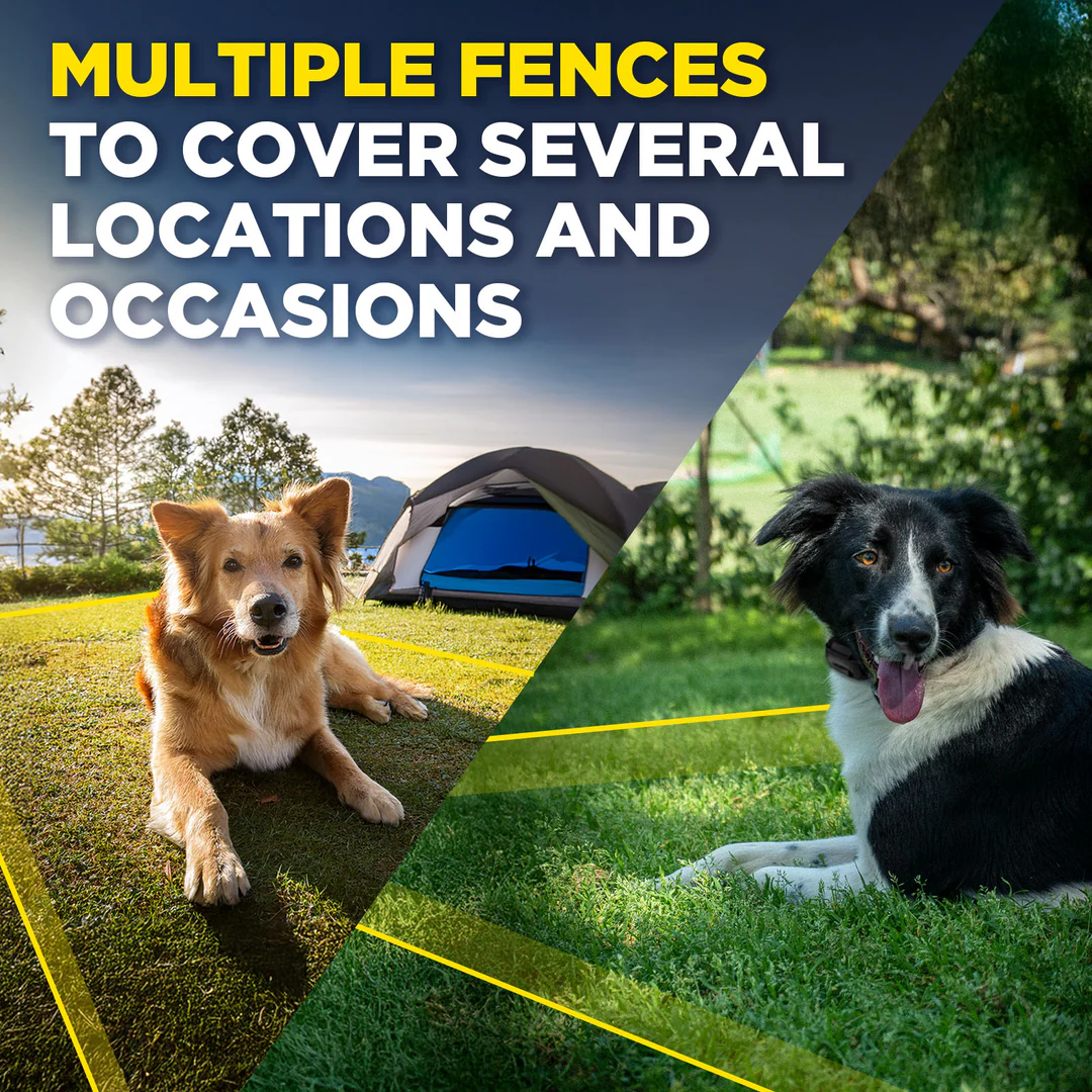 Dogtra, GPS FENCE