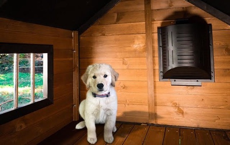 Hound Heater Deluxe with 6' Cord with Bluetooth, Pet House Furnace