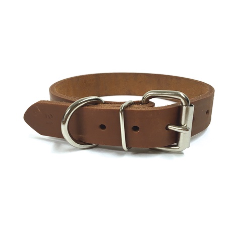 NBS Leather Dog Collar, Standard, 1" Wide