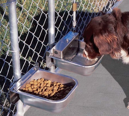 Nelson, Automatic Dog Waterer