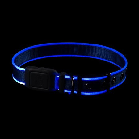 Nite Ize, NiteDog Rechargeable LED Collar, Blue/Blue LED