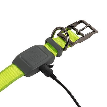 Nite Ize, NiteDog Rechargeable LED Collar, Lime/Green LED
