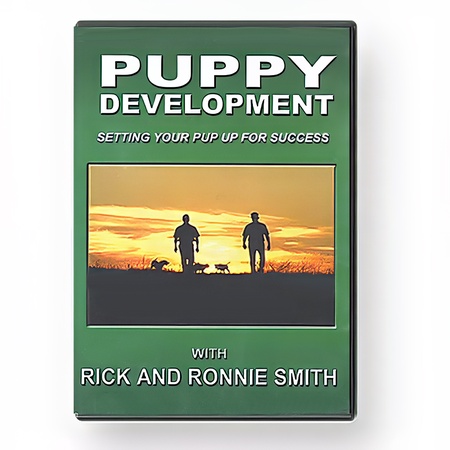 DVD, Puppy Development 1, Setting Your Pup Up for Success