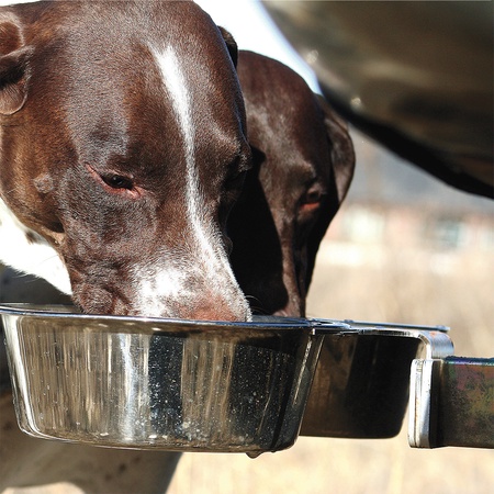 Kennel Gear, Hitch Receiver Mount