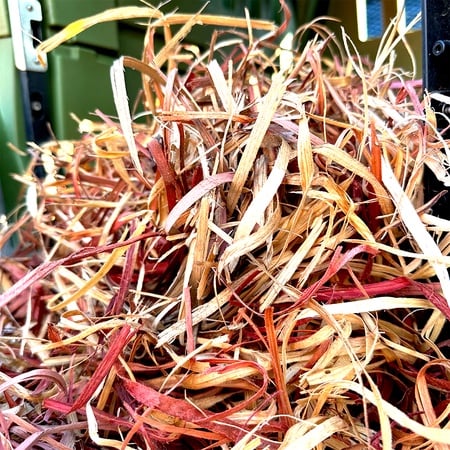 Cedar shavings for puppies hotsell