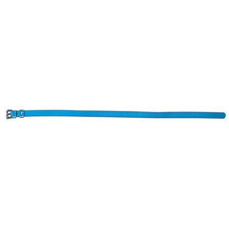 SportDog, Collar Strap, 3/4" Wide, Blue