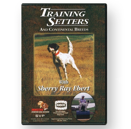 DVD, Training Setters & Continental Breeds by Sherry Ray Ebert