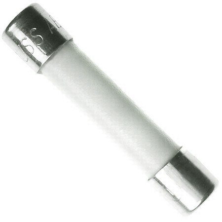 Ceramic Tube Fuse 10 Amp 250 Volt Fast Blow for Microwaves, etc.