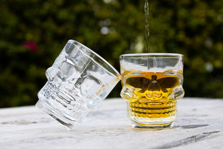 Sunshine Mason Co. Skull Shot Glasses 3D Scary, 6 Pieces