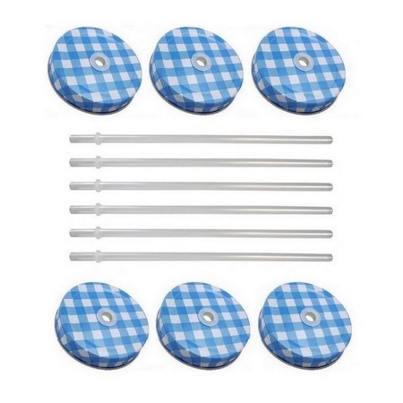 Sunshine Mason Co. Blue Gingham Mason Jar Lids with Clear Straws, 6 Pieces