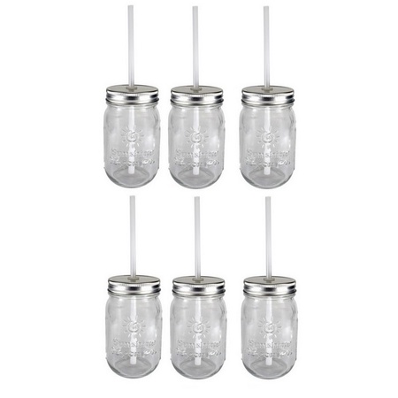 Sunshine Mason Co. Glass Mason Jar Set with Silver Lids and White Straws, Set of 6