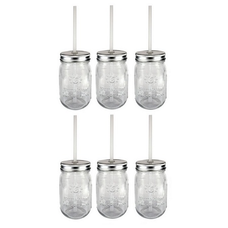 Sunshine Mason Co. Glass Mason Jar Set with Silver Lids and Clear Straws, Set of 6
