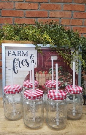 Sunshine Mason Co. Glass Mason Jar set with Red Gingham lids and White Straws, Set of 6