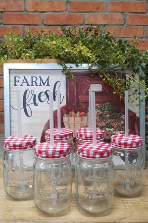 Sunshine Mason Co. Glass Mason Jar set with Red Gingham lids and Clear Straws, Set of 6
