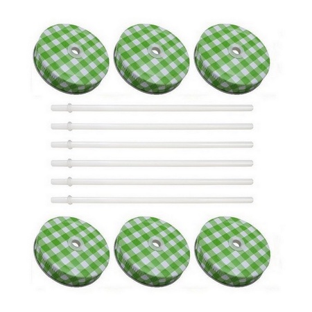 Sunshine Mason Co. Green Gingham Mason Jar Lids with White Straws 6 Pieces