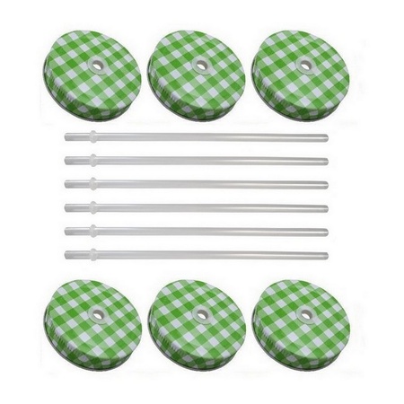 Sunshine Mason Co. Green Gingham Mason Jar Lids with Clear Straws, 6 Pieces
