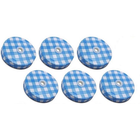 Sunshine Mason Co. Lids with Straw Hole 6 Pieces, Blue Gingham