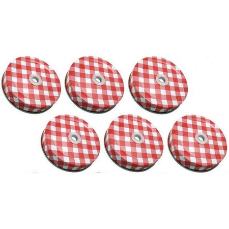 Sunshine Mason Co. Lids with Straw Hole 6 Pieces, Red Gingham