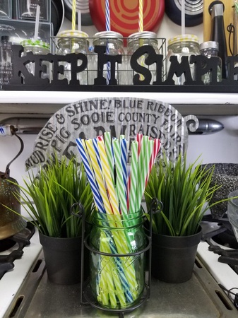 Sunshine Mason Co. Plastic, Reusable Drinking Straws 24 pieces, Multi Colors