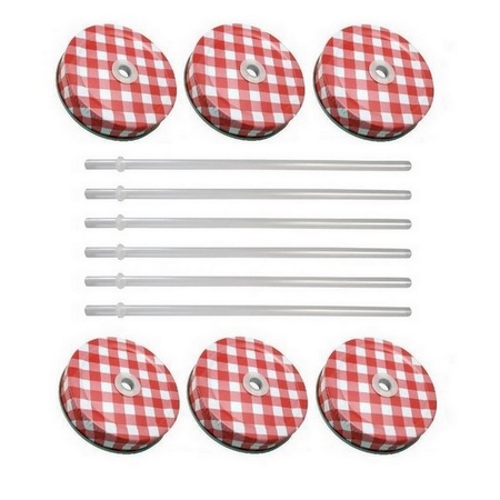 Sunshine Mason Co. Red Gingham Mason Jar Lids with Clear Straws, 6 Pieces