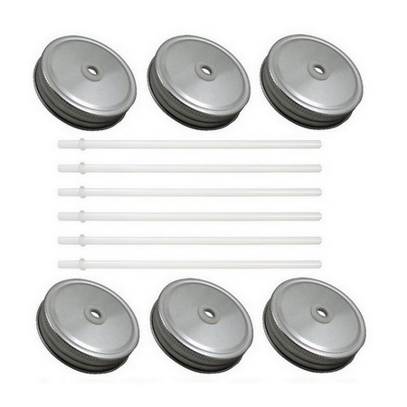 Sunshine Mason Co. Silver Mason Jar Lids with White Straws, 6 Pieces