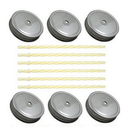 Sunshine Mason Co. Silver Mason Jar Lids with Yellow Stripe Straws, 6 Pieces