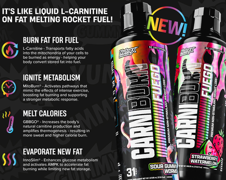 Nutrex Carniburn Fuego  Strawberry Watermelon  - 31 Servings  (Carnitine + InnoSlim®, GBBGO® & MitoBurn®)