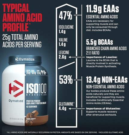 - Dymatize ISO 100 Whey Protein Isolate Gourmet Chocolate  - 3 Lb (42 Servings)