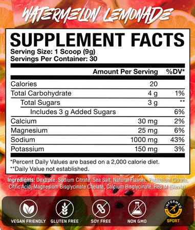 Axe & Sledge Endurance Hydrate  Watermelon Lemonade - 30 Servings