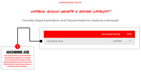 Enhanced Arachidonic Acid - 120 Capsules