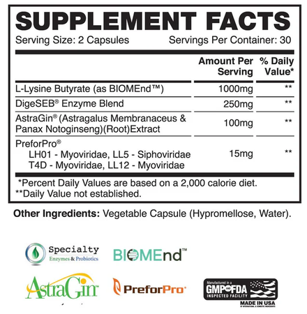 Apollon Nutrition Gut Glory - Multiplex Gut Health Blend - 60 Capsules *New Formula