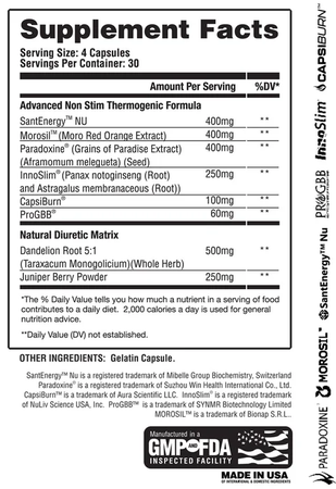 Apollon Nutrition Molotov V4 - Non-stim Fat Burner & Thermogenic - 120 Capsules