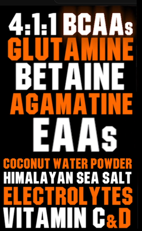 GCode Nutrition RISE Aminos Bcaa/Eaa's w/Glutamine & Agmatine  Lime Slushie - 30 Servings