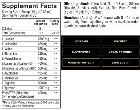 Spoken Nutrition Aminos + ATP (NSF Certified for Sport) - Fruit Punch - 30 Servings (NSF Certified for Sport)