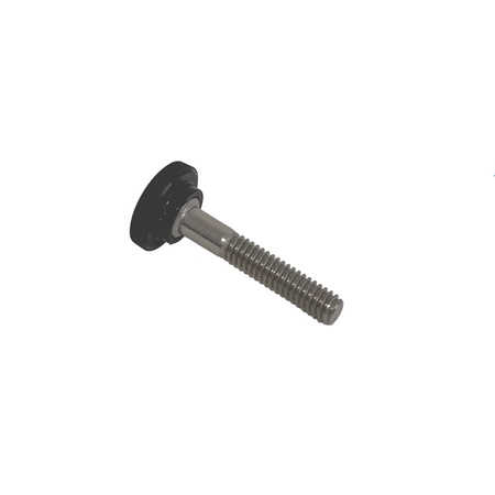 1.50" Stainless Steel Thumbscrew