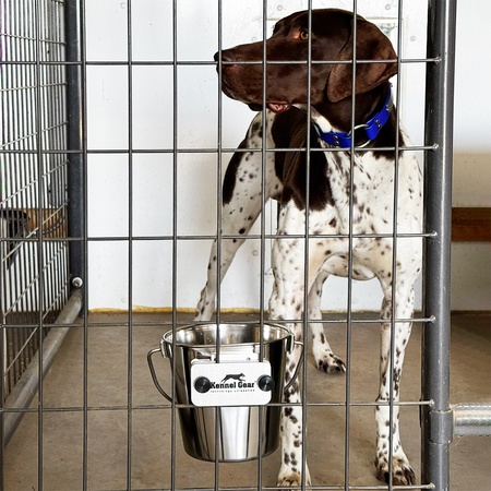 Kennel Gear, 4 Quart Stainless Steel Pail System