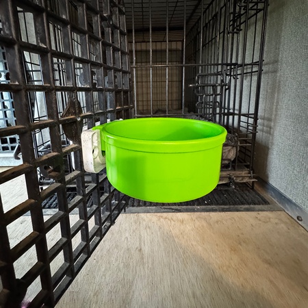 Kennel Gear, 20 oz Plastic Bowl System - Pink