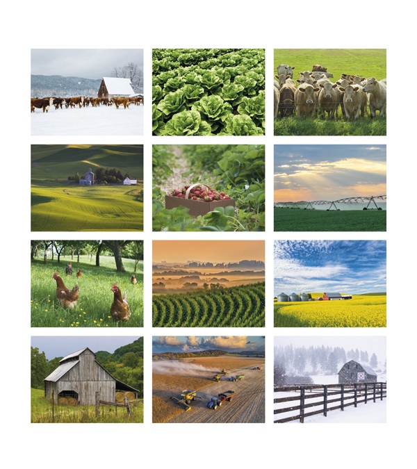 Agriculture Wall Calendar 2026