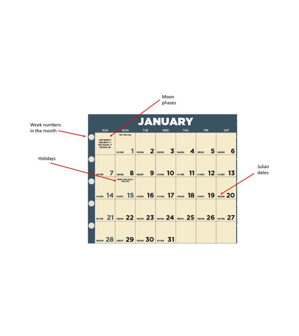Time Management Span-A-Year Calendar (Non-Laminated)