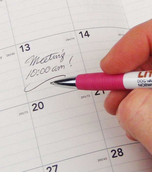 Delight Promotional Pen