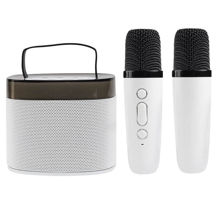 Magic Mic Karaoke Set