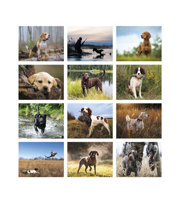 Sporting Dogs Wall Calendar (Stapled) 2026