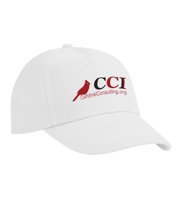 Promotional Budget Saver Non Woven Cap
