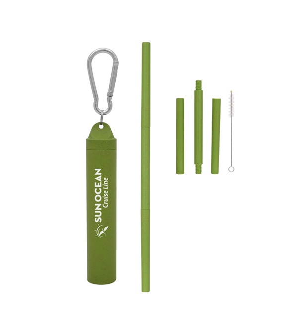 Buildable Wheat Straw Kit in Travel Case