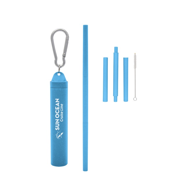 Buildable Wheat Straw Kit in Travel Case