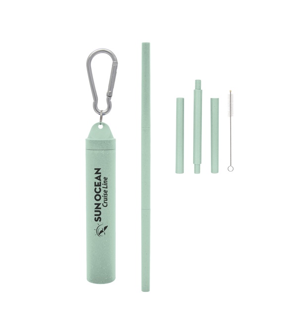 Buildable Wheat Straw Kit in Travel Case