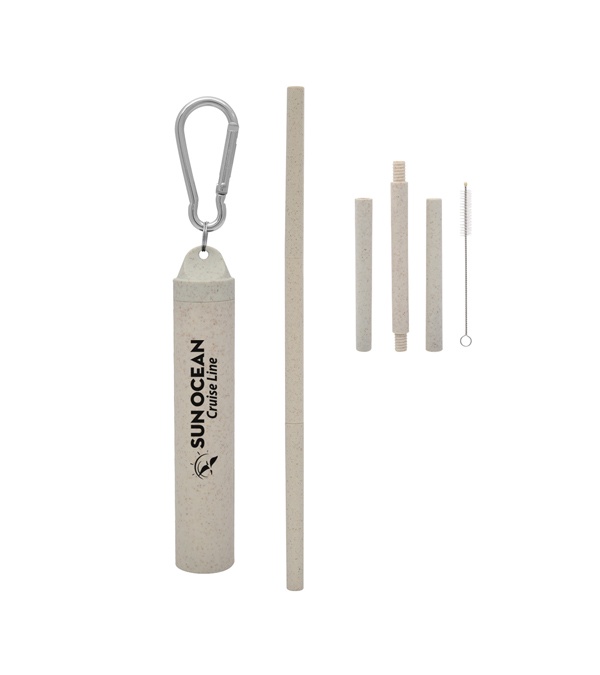 Buildable Wheat Straw Kit in Travel Case